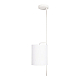Подвесной светильник Loft IT Ritz 10253P White