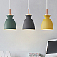 Подвесной светильник ImperiumLoft OMG 101863-26