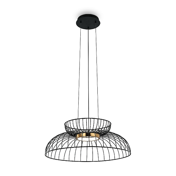 Подвесной светодиодный светильник Freya Citrus FR5398PL-L6B