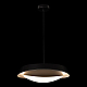 Подвесная люстра Loft IT Petale 10256P Black