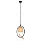 Подвесной светильник Loft IT Birds Loft1029A-1