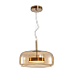 Подвесной светодиодный светильник Arte Lamp Padova A2404SP-33AM