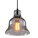 Подвесной светильник Arte Lamp Amiata A4255SP-1SM