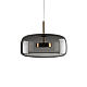 Подвесной светодиодный светильник Loft IT Dauphin 10041B