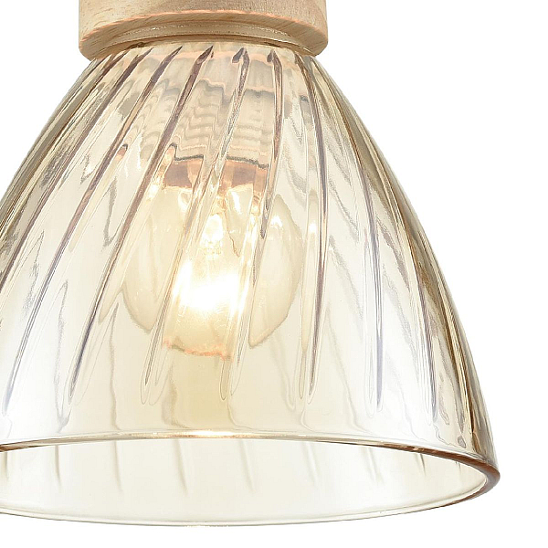 Светильник подвесной Lumion Suspentioni 8051/1A