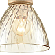 Светильник подвесной Lumion Suspentioni 8051/1A