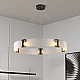 Подвесной светильник Delight Collection Parallel Ring D8028P/R/D800 black/clear