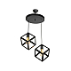 Подвесной светильник Toplight Cherilyn TL1604H-02BK