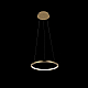 Подвесной светодиодный светильник Loft IT Ring 10014S