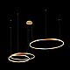 Подвесной светодиодный светильник Loft IT Ring 10017/3M