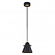 Подвесной светильник F-Promo Rigor 2844-1P