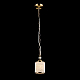 Подвесной светильник Maytoni Sherborn RC016-PL-01-G