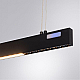 Подвесной светодиодный светильник Arte Lamp Lao A2189SP-1BK