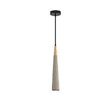 Подвесной светильник Lumion Suspentioni Eoliana 8351/1C