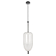 Подвесной светодиодный светильник Loft IT Venice 10223/B White