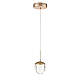 Подвесной светодиодный светильник Lumion Ledio Rimini 8083/1A