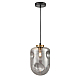 Подвесной светильник Vele Luce Alieno VL5352P31