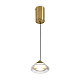 Подвесной светильник Freya Modern Cave FR5631PL-L5BS