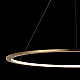 Подвесной светодиодный светильник Loft IT Ring 10014L