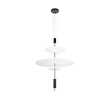 Подвесной светильник Loft IT Skylar 10244/C Black