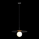 Подвесной светильник Loft IT Ufo 10120/350P Black