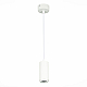Подвесной светодиодный светильник ST Luce Zoom ST600.533.10