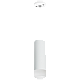 Подвесной светильник Lightstar Rullo RP48631 (214486+590056+202431)
