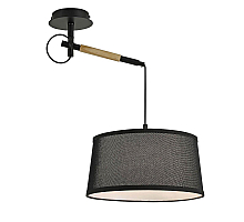 Настенно-потолочный светильник F-Promo Eureka 3006-1P
