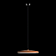 Подвесной светодиодный светильник Loft IT Plato 10119 Orange