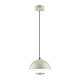 Подвесной светодиодный светильник Lumion Ledio Globe 6567/6L