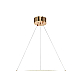 Подвесной светильник Zortes RINGER ZRS.57792.116