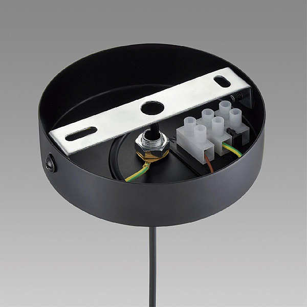 Подвесной светильник Lumion Comfi Isha 8101/1A