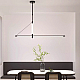 Подвесной cветильник ImperiumLoft Ren 248476-01