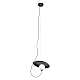 Подвесной светильник Loft IT Wonders 10237P Black