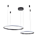 Подвесной светильник Zortes RINGOLIGHT ZRS.33321.63F