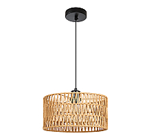 Подвесной светильник Arte Lamp Brushwood A7088SP-1BK