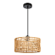 Подвесной светильник Arte Lamp Brushwood A7088SP-1BK