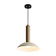 Подвесной светильник Freya Modern FR5551PL-01CR