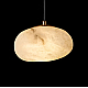 Подвесной светильник Loft IT Fionora 10531B
