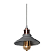 Подвесной светильник Arte Lamp A5067SP-1GY
