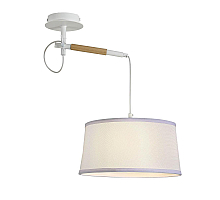 Настенно-потолочный светильник F-Promo Eureka 3005-1P