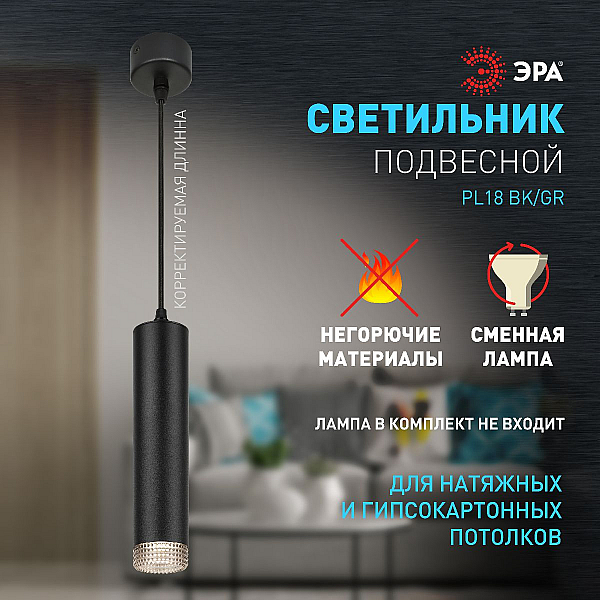 Подвесной светильник ЭРА PL18 BK/GR Б0058484