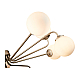 Подвесная люстра ST Luce Redjino SLE106203-12