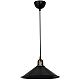 Подвесной светильник Toplight Delilah TL1606H-01BK