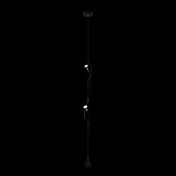 Подвесной светильник Loft IT Parentesi 10346/2 Black
