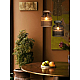 Подвесной светильник Freya Modern FR5558PL-01SM