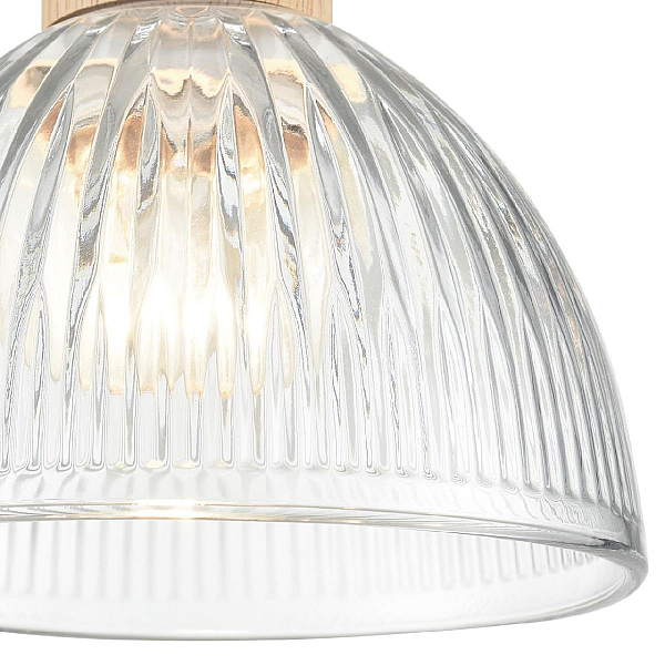 Светильник подвесной Lumion Suspentioni 8055/1A