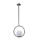 Подвесной светильник Loft IT Glob LOFT2600-B