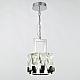 Подвесной светильник Delight Collection Peruzzi MD18090003-9A chrome