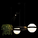 Подвесной светодиодный светильник Loft IT Jardin 10121/2